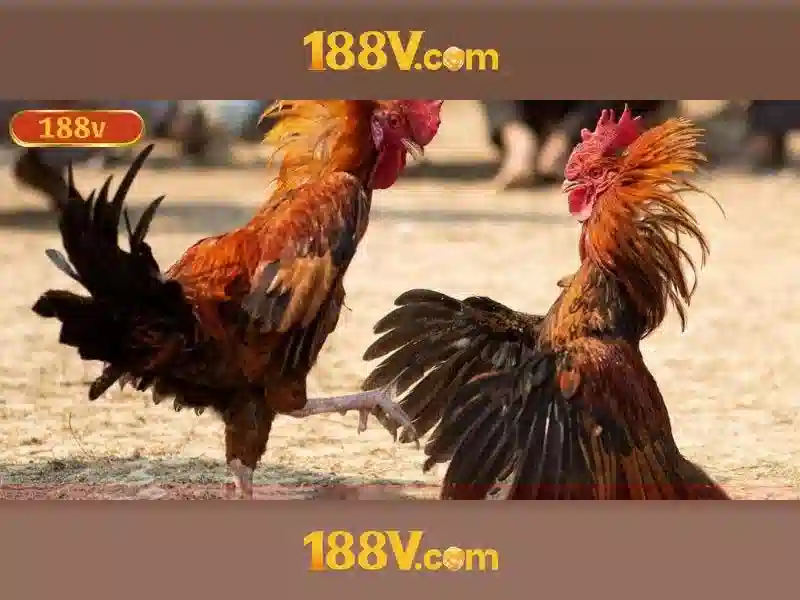 188v-live-betting