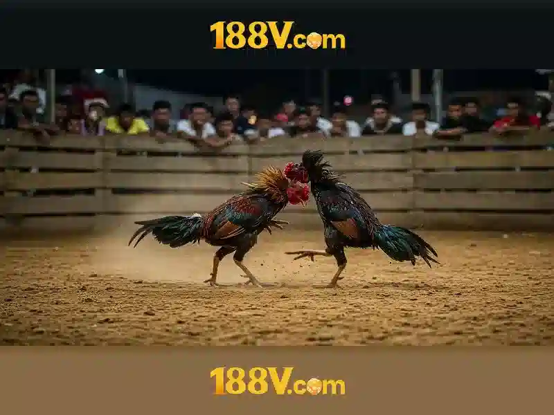 188v rút tiền – Tổng quan chủ đề và giá trị cốt lõi