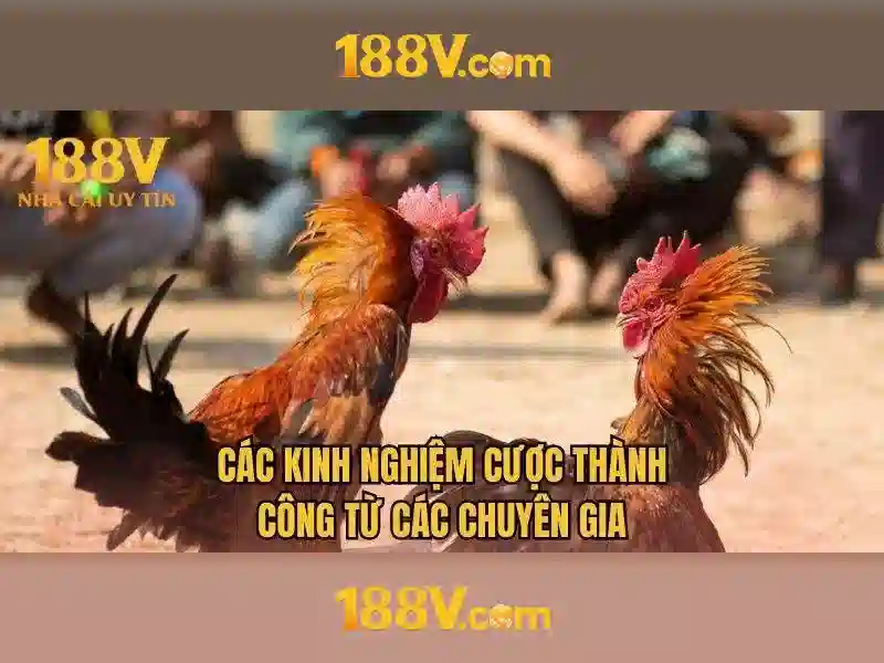 Tổng quan về eSports 188v