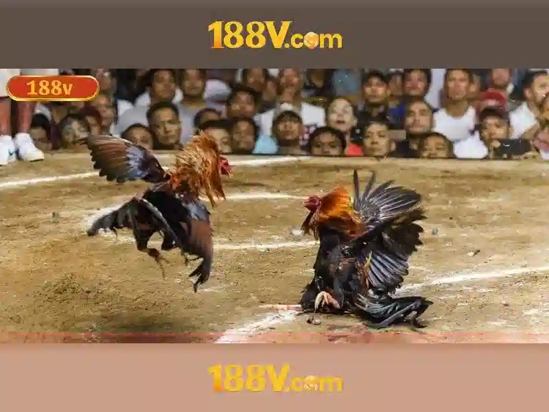 Thuật ngữ bắn cá