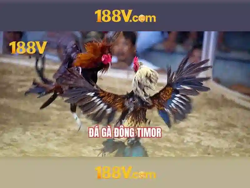 Khám phá 188v: một khía cạnh bất ngờ