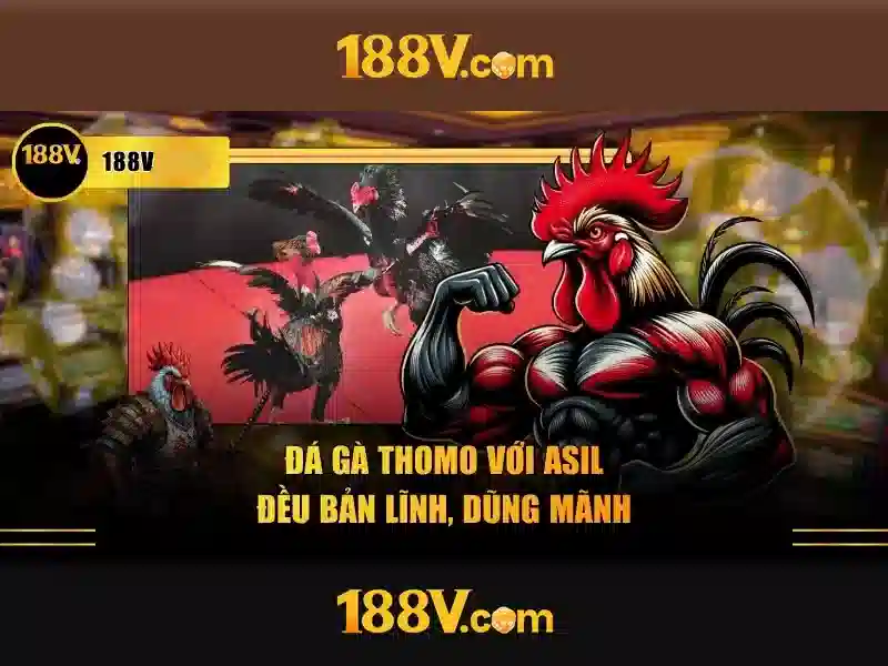 mơ thấy mẹ đã mất