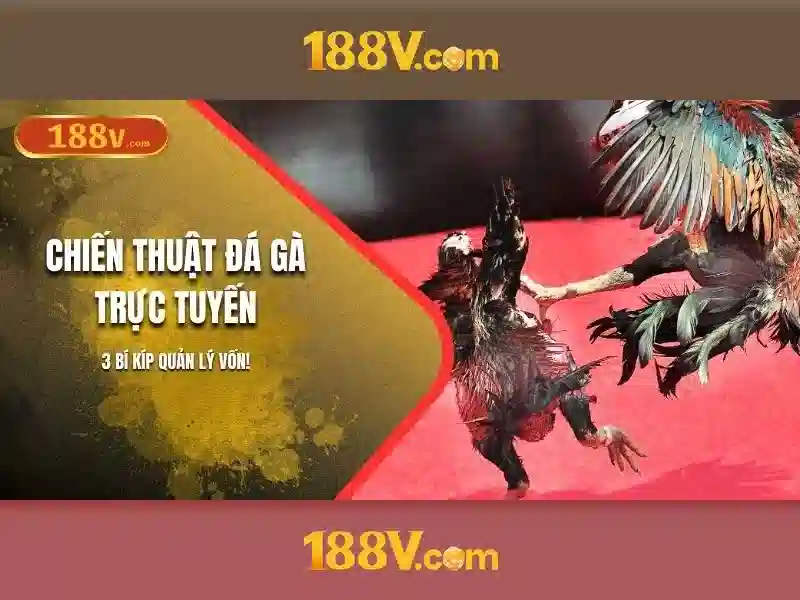 Mô tả và đặc điểm