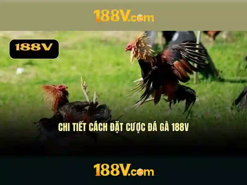 Khả năng tương tác và cộng đồng