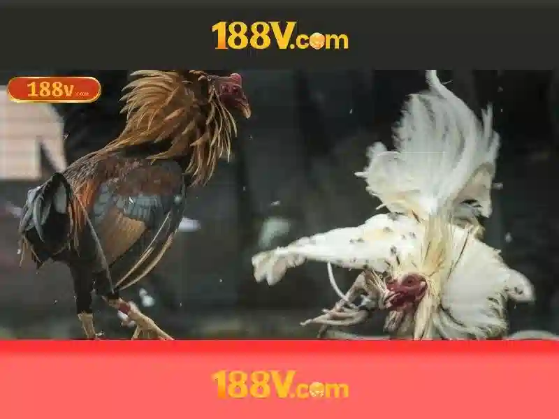 mơ thấy mẹ đã mất