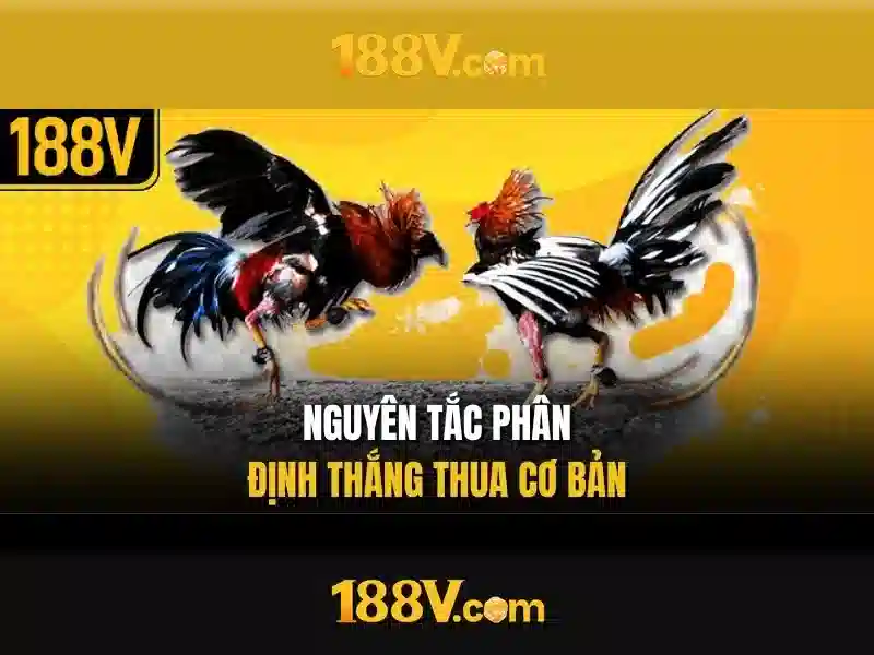 Khái niệm căn bản về 188v