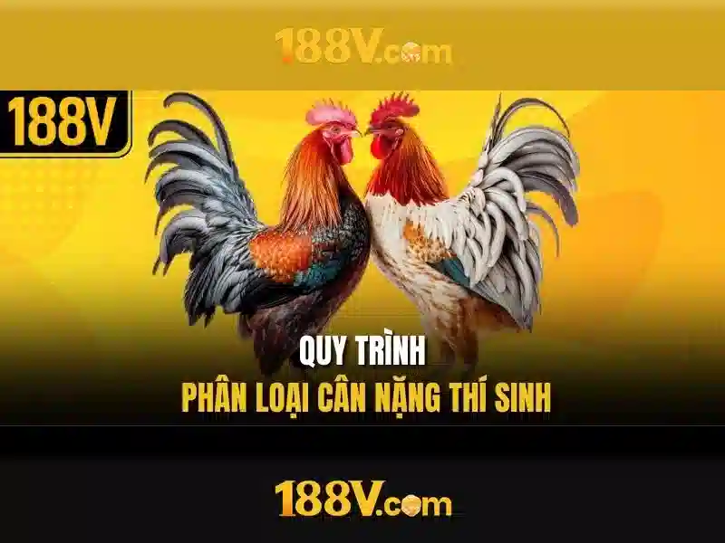 Nguồn gốc và sứ mệnh của 188v,com
