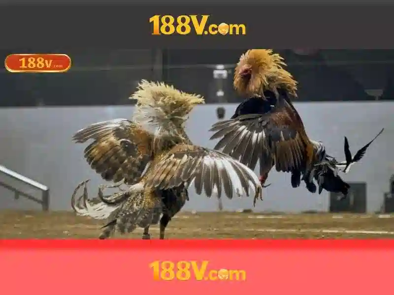 Ngữ cảnh và nguyên nhân sử dụng 188V