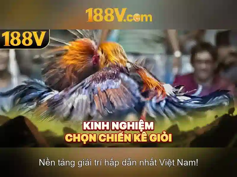 Thuật ngữ bắn cá