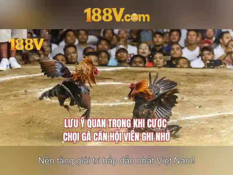 Thuật ngữ bắn cá