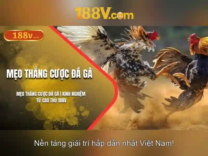 188V: Khám phá một khái niệm mới