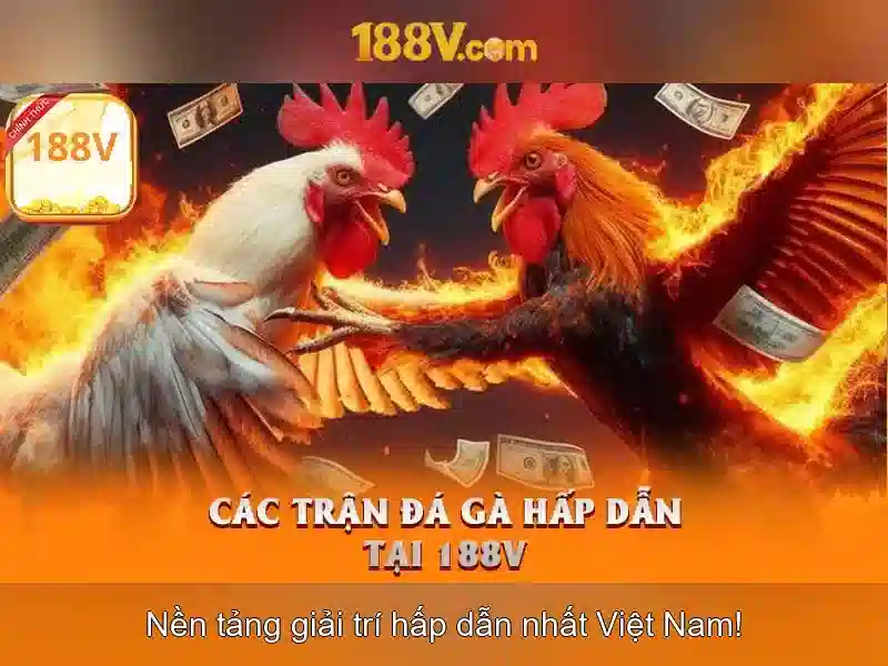 Kết nối với cộng đồng 188v