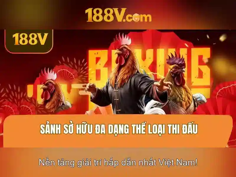 Trải nghiệm người dùng và phản hồi từ cộng đồng