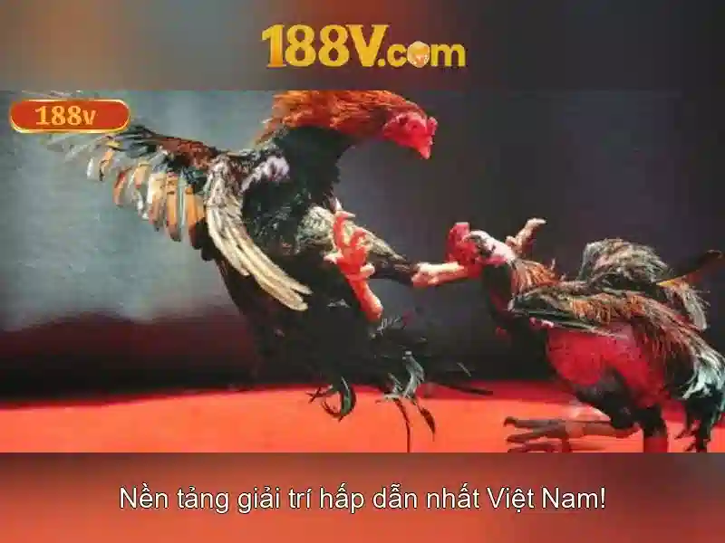 Nguồn gốc và ý nghĩa
