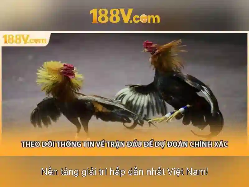 Hướng dẫn sử dụng an toàn