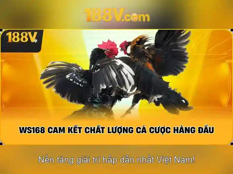 Ứng dụng và tương lai