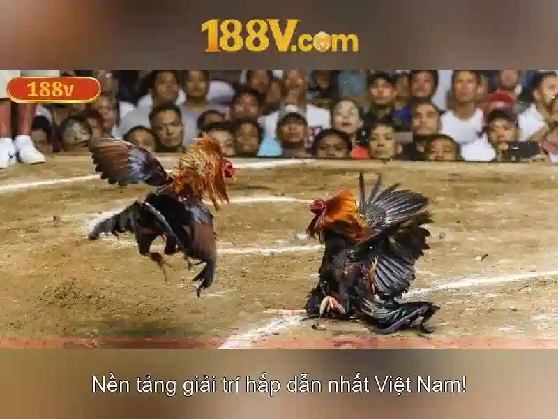 mơ thấy mẹ đã mất