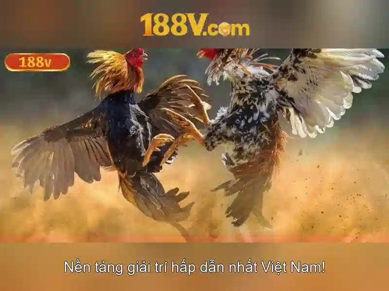 Giới thiệu về 188v