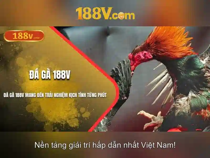 du-lieu-ca-nhan-188v