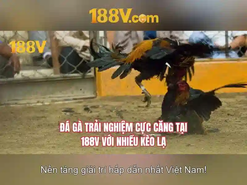 mơ thấy mẹ đã mất