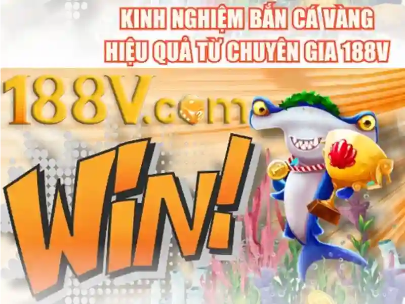 Trải nghiệm người dùng và phản hồi cộng đồng